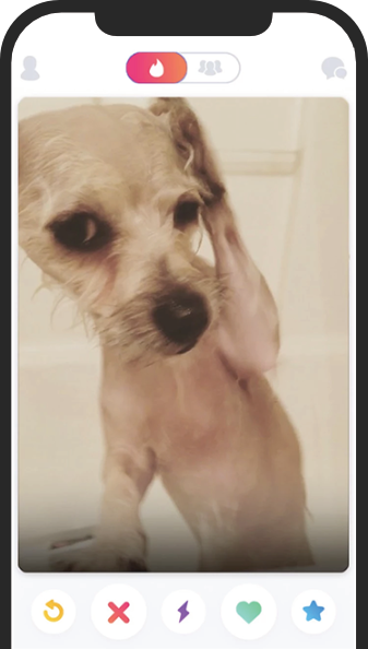 iphone dog